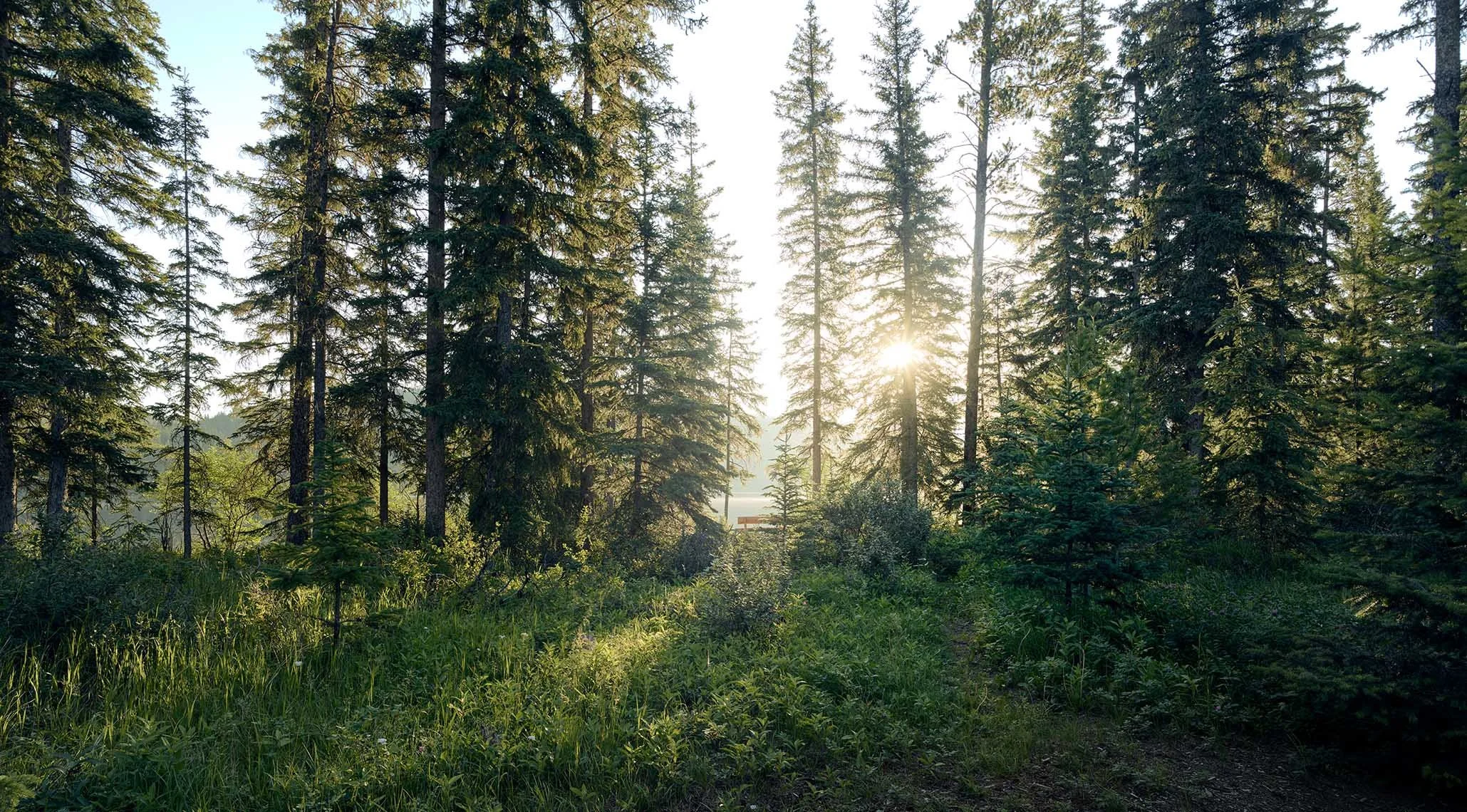 Landscape photography by David Westphal, photographer, director and drone operator