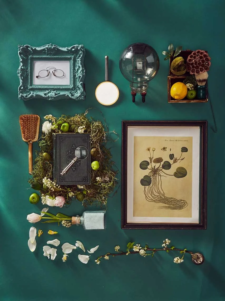 Still life photography by Hilary McMullen, photographer and director