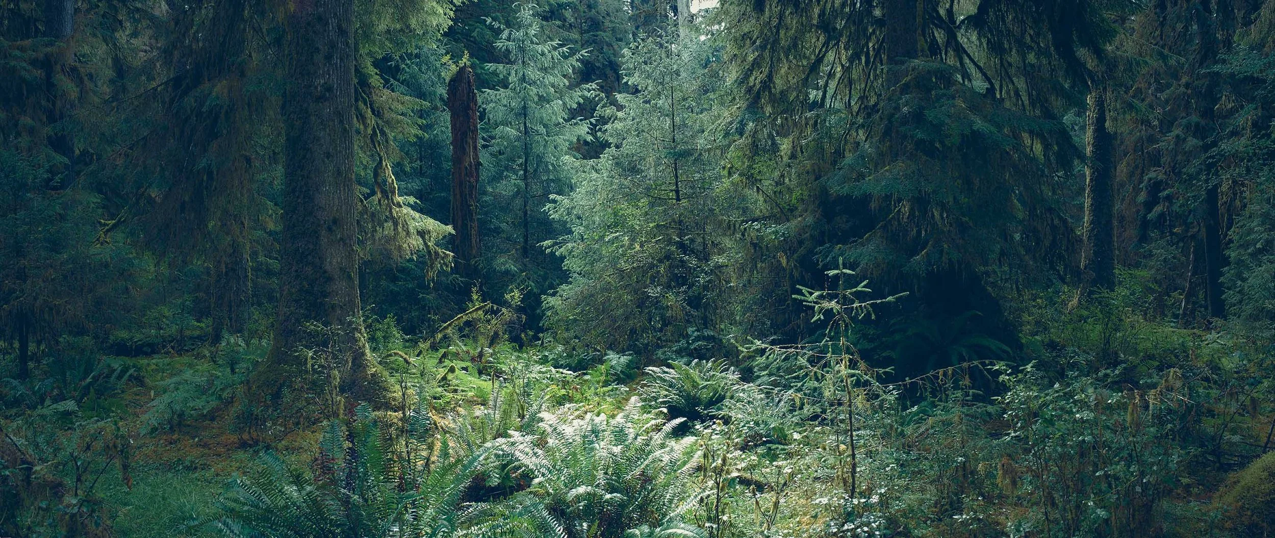 Landscape photography by David Westphal, photographer, director and drone operator