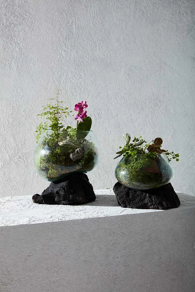 Still life photography by James Ransom, photographer and director