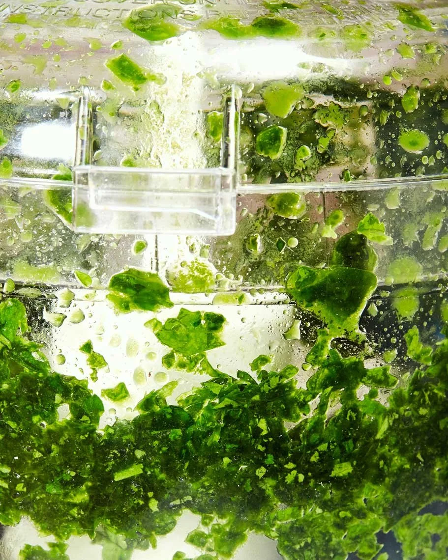 Food photography by Hilary McMullen, photographer and director