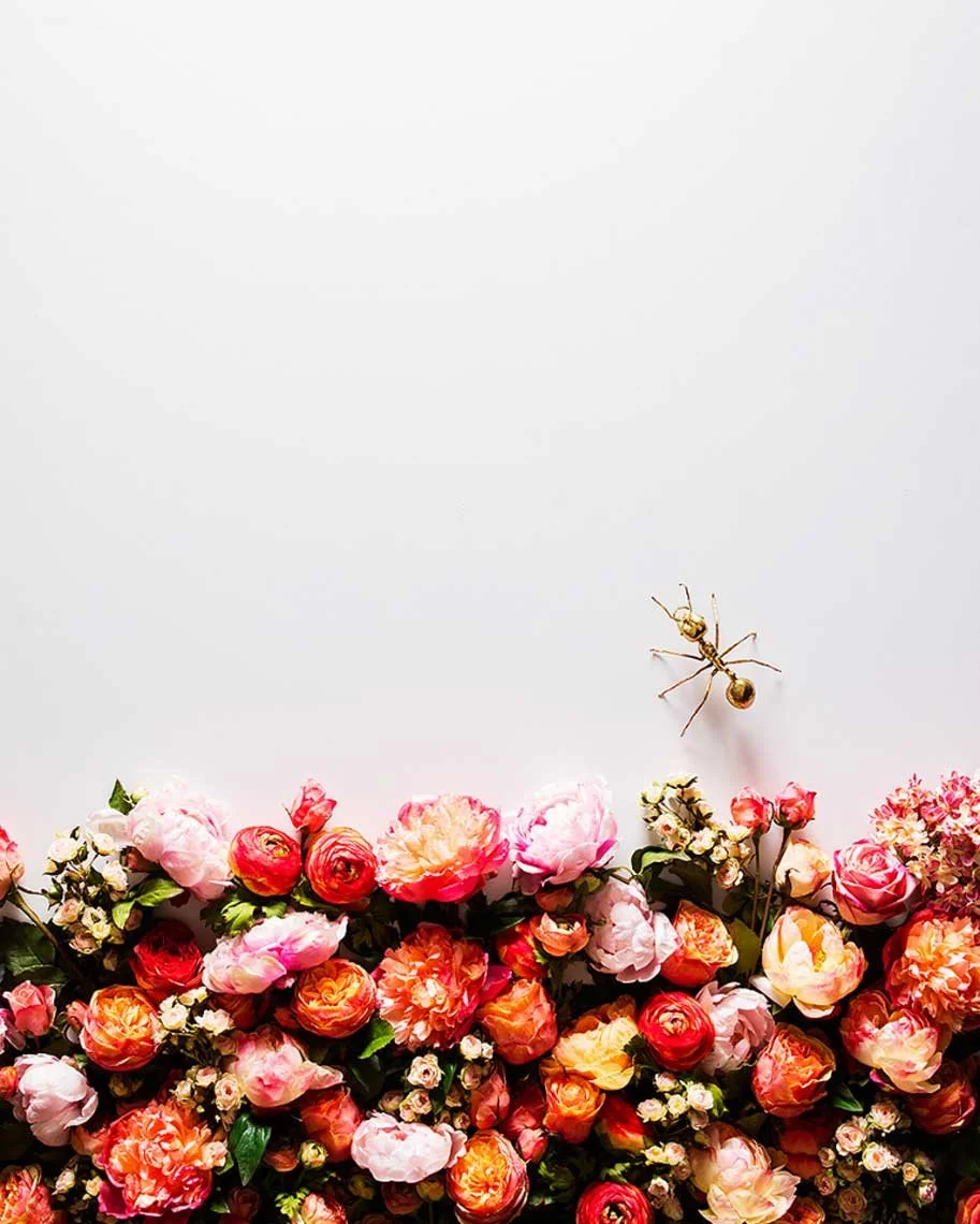 Still life photography by James Ransom, photographer and director