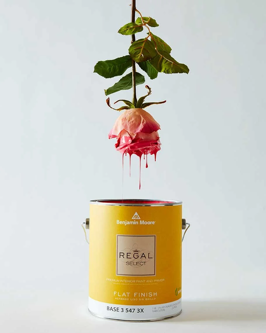 Still life photography by James Ransom, photographer and director