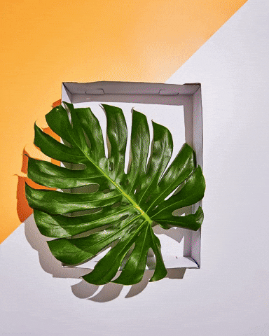 Video work by Hulswit Designs, photographers and CGI artists