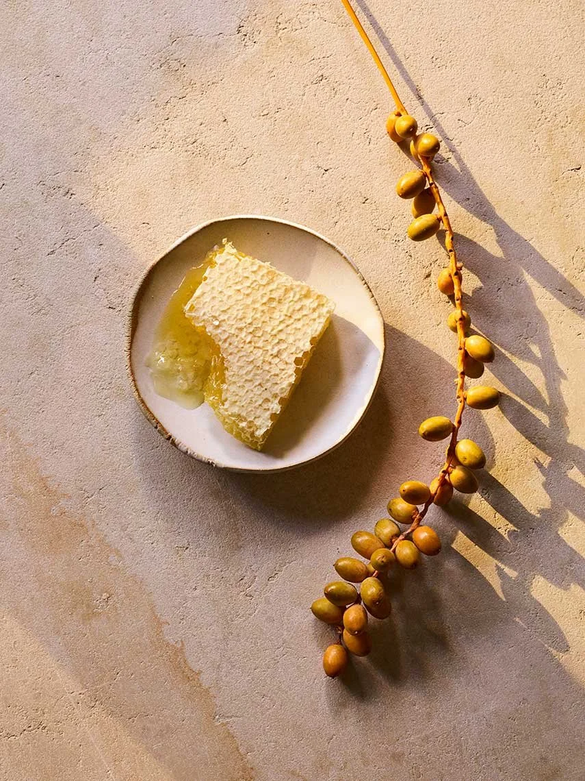 Still life photography by James Ransom, photographer and director
