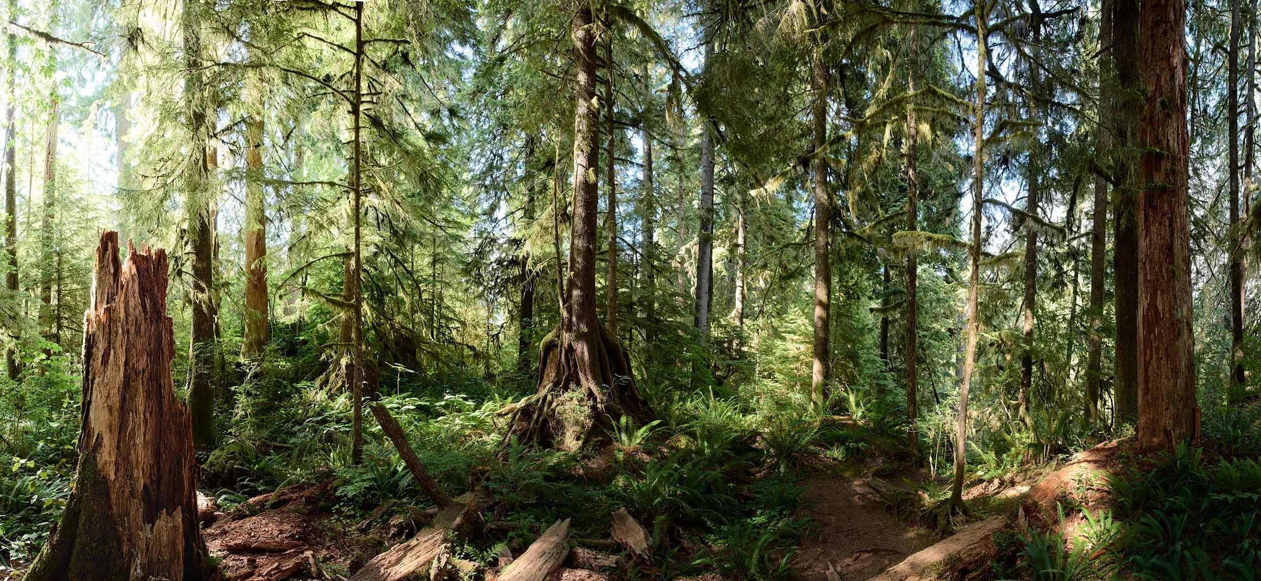 Landscape photography by David Westphal, photographer, director and drone operator
