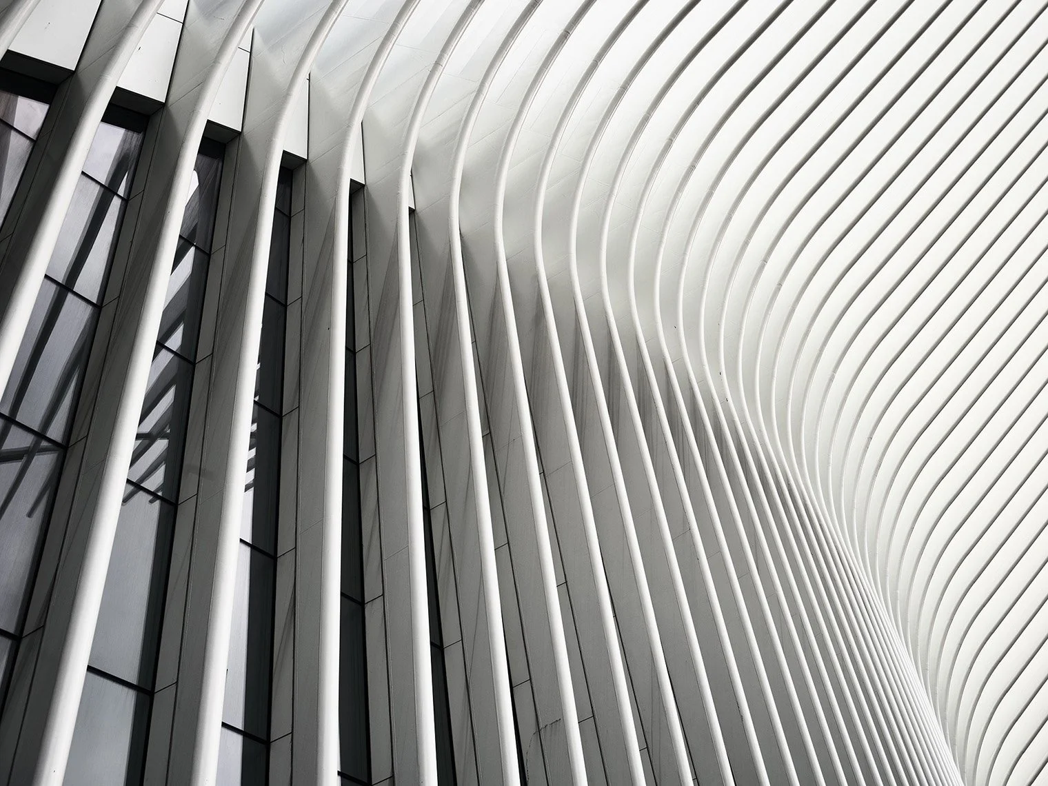 Video and aerial drone footage by David Westphal, photographer, director and drone operator