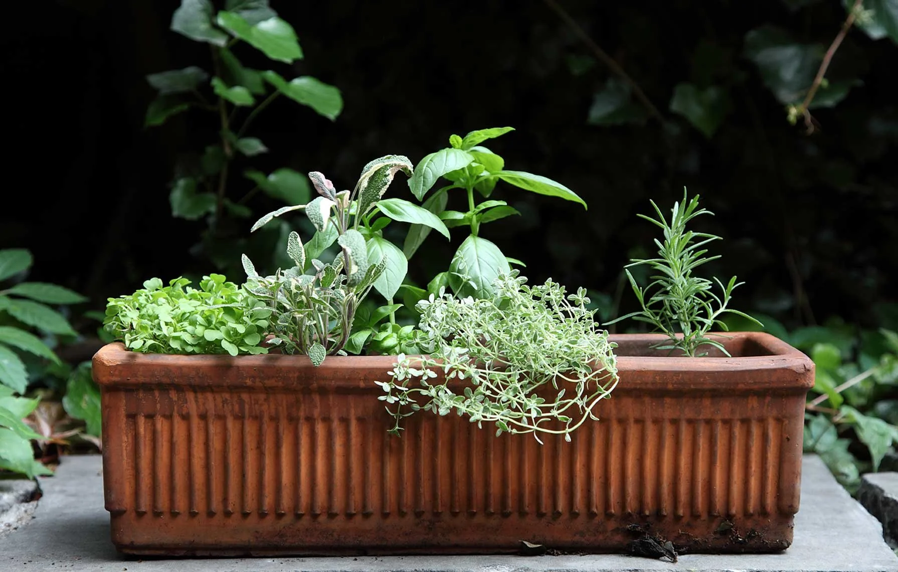 Still life photography by James Ransom, photographer and director