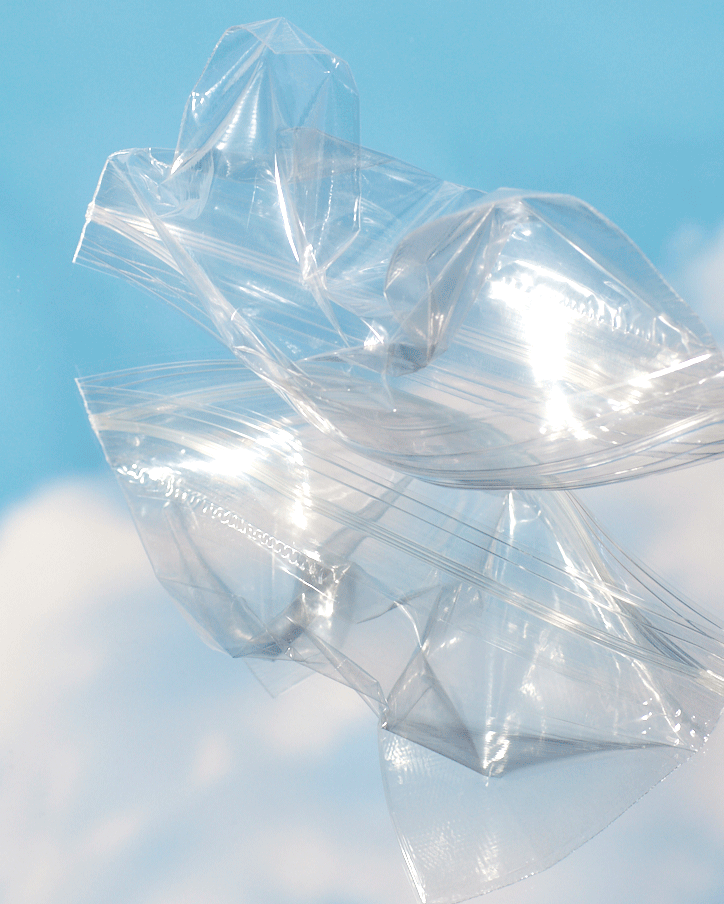 47_bag.gif