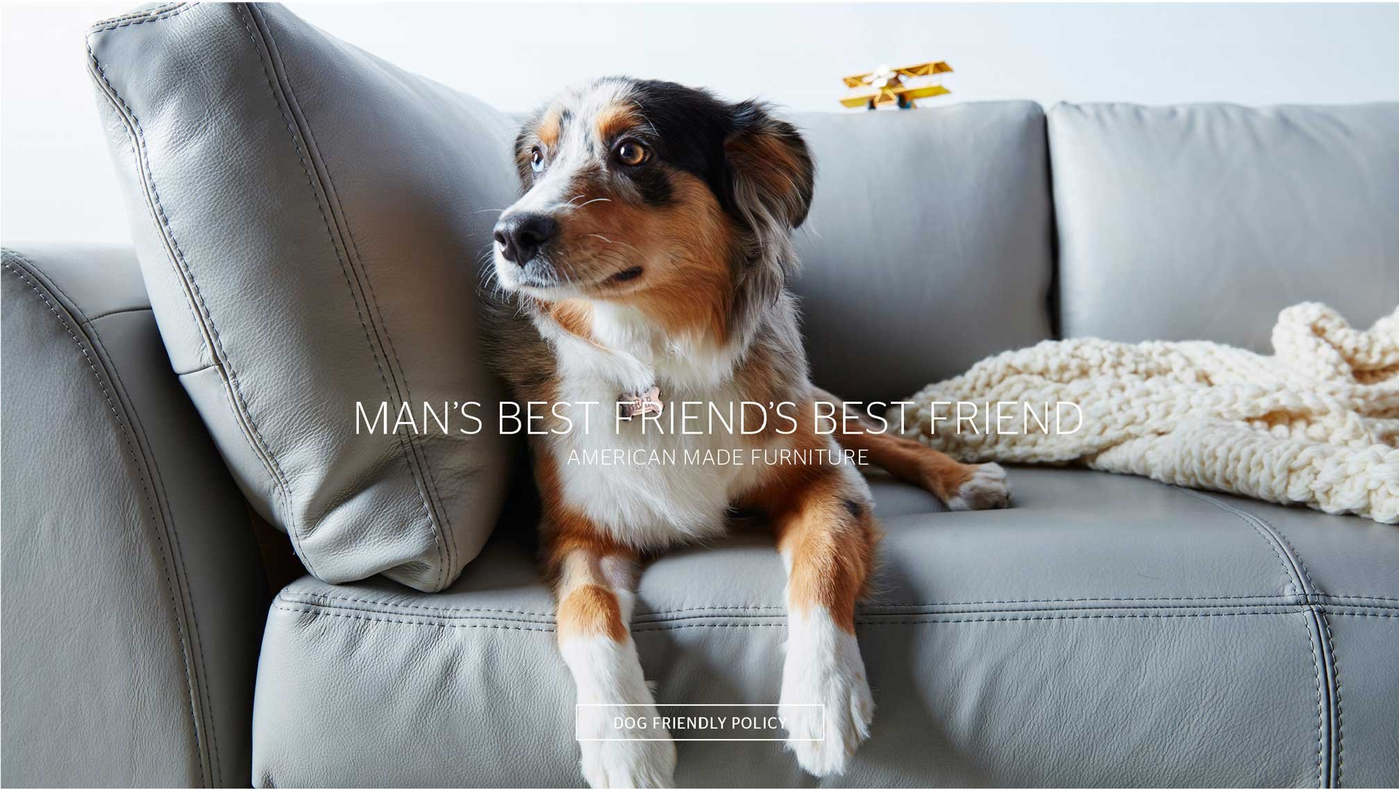 Published cookbook and editorial work by James Ransom, photographer and director