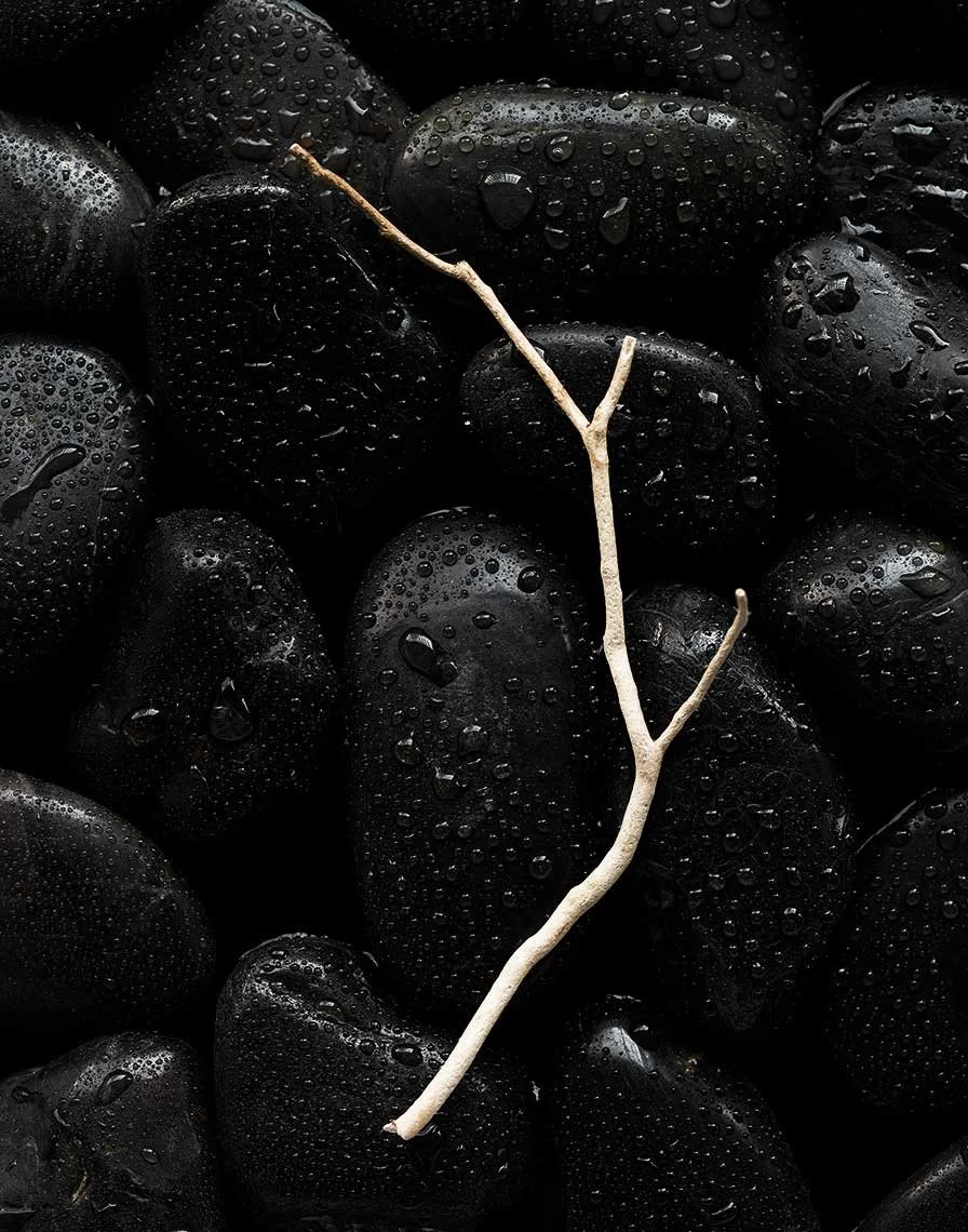 Still life photography by James Ransom, photographer and director