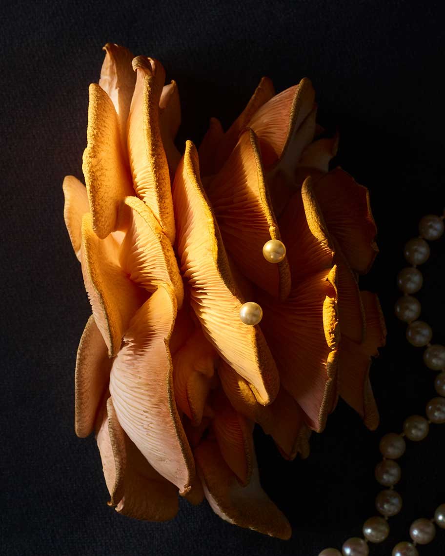 Still life photography by James Ransom, photographer and director