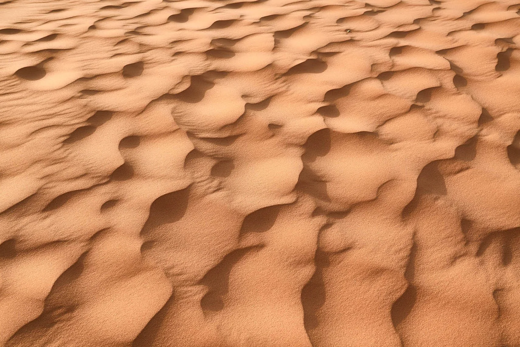Video and aerial drone footage by David Westphal, photographer, director and drone operator