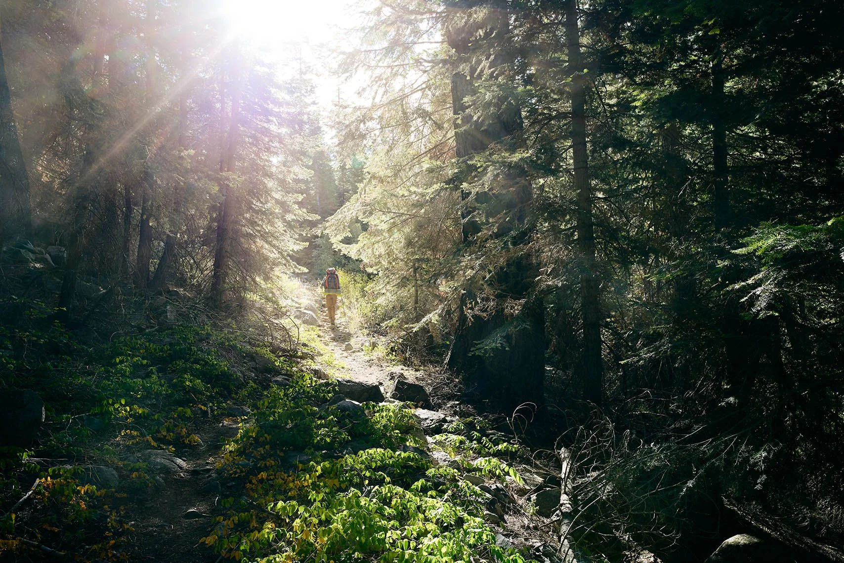 Landscape photography by David Westphal, photographer, director and drone operator
