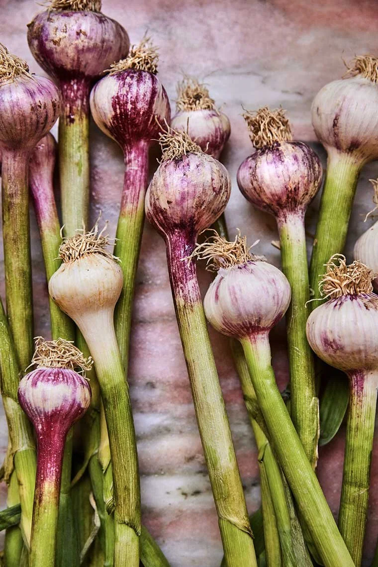 Food photography by Andrea D'Agosto, photographer and director