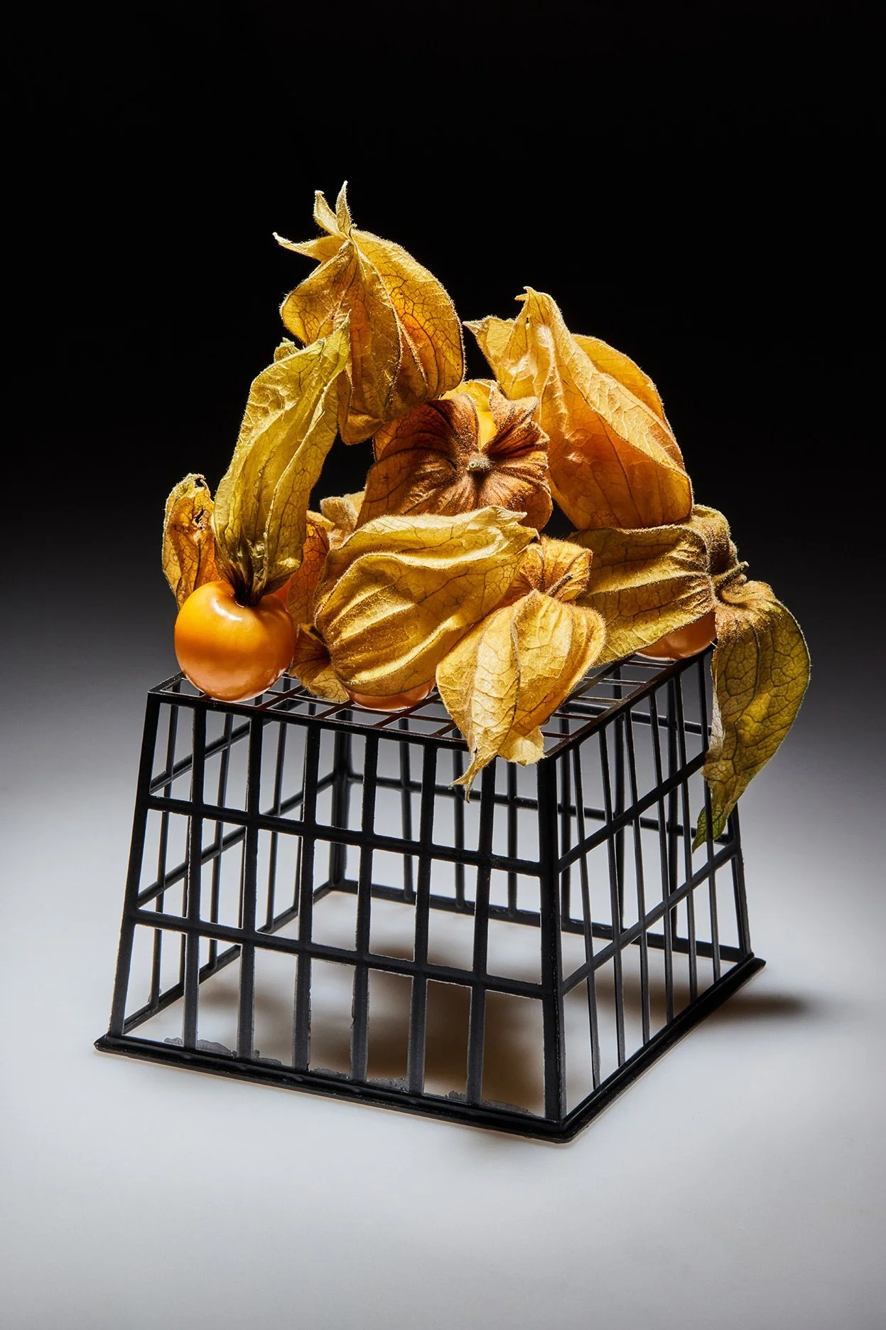 41_240325_fruit1029.jpg