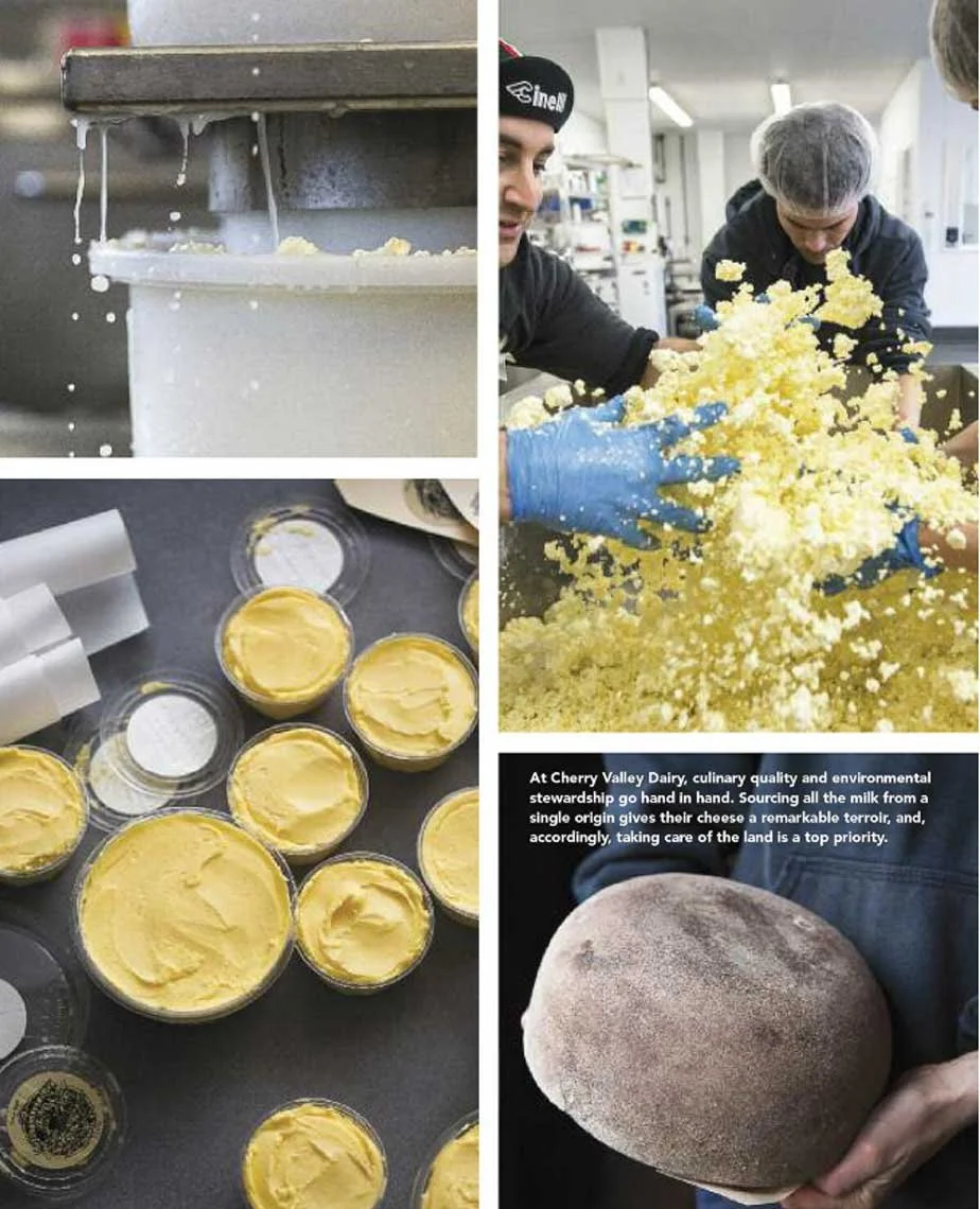 Published cookbook and editorial work by Hilary McMullen, photographer and director