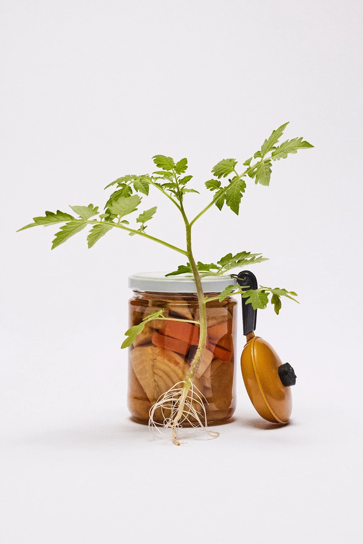 11_251008_Still-Life17491.jpg