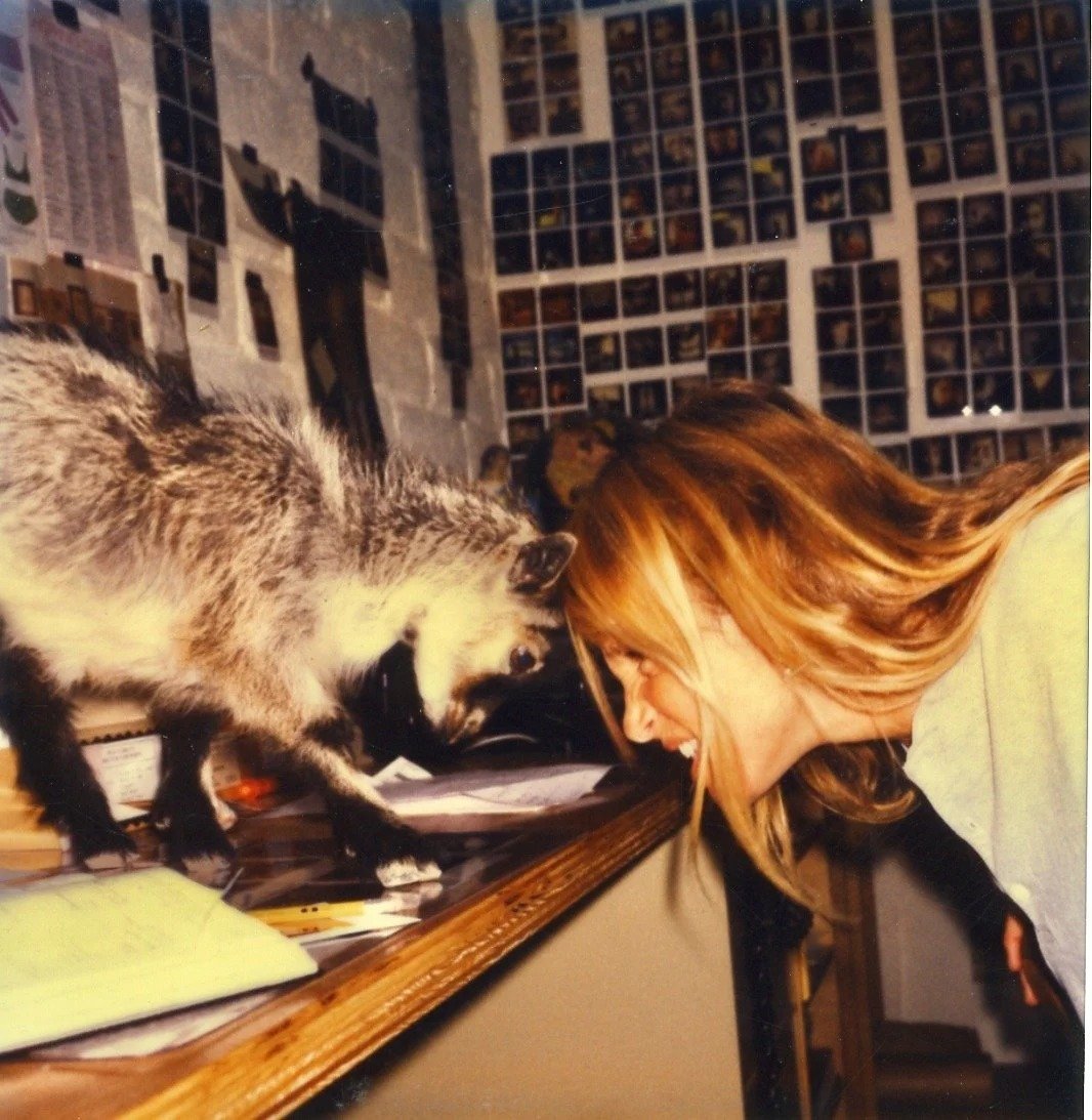 A woman with long red hair bent over a desk, touching noses with a raccoon, in a room decorated with a wall full of photographs and a silhouette poster.