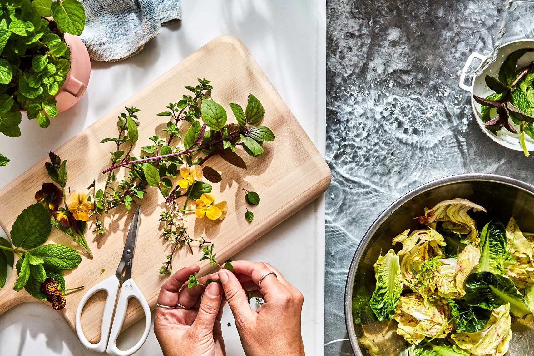 Food photography by Hilary McMullen, photographer and director