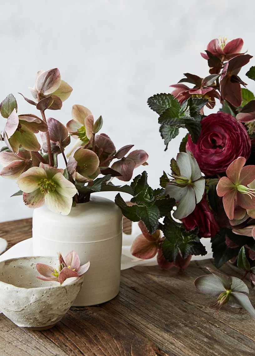 Still life photography by Hilary McMullen, photographer and director