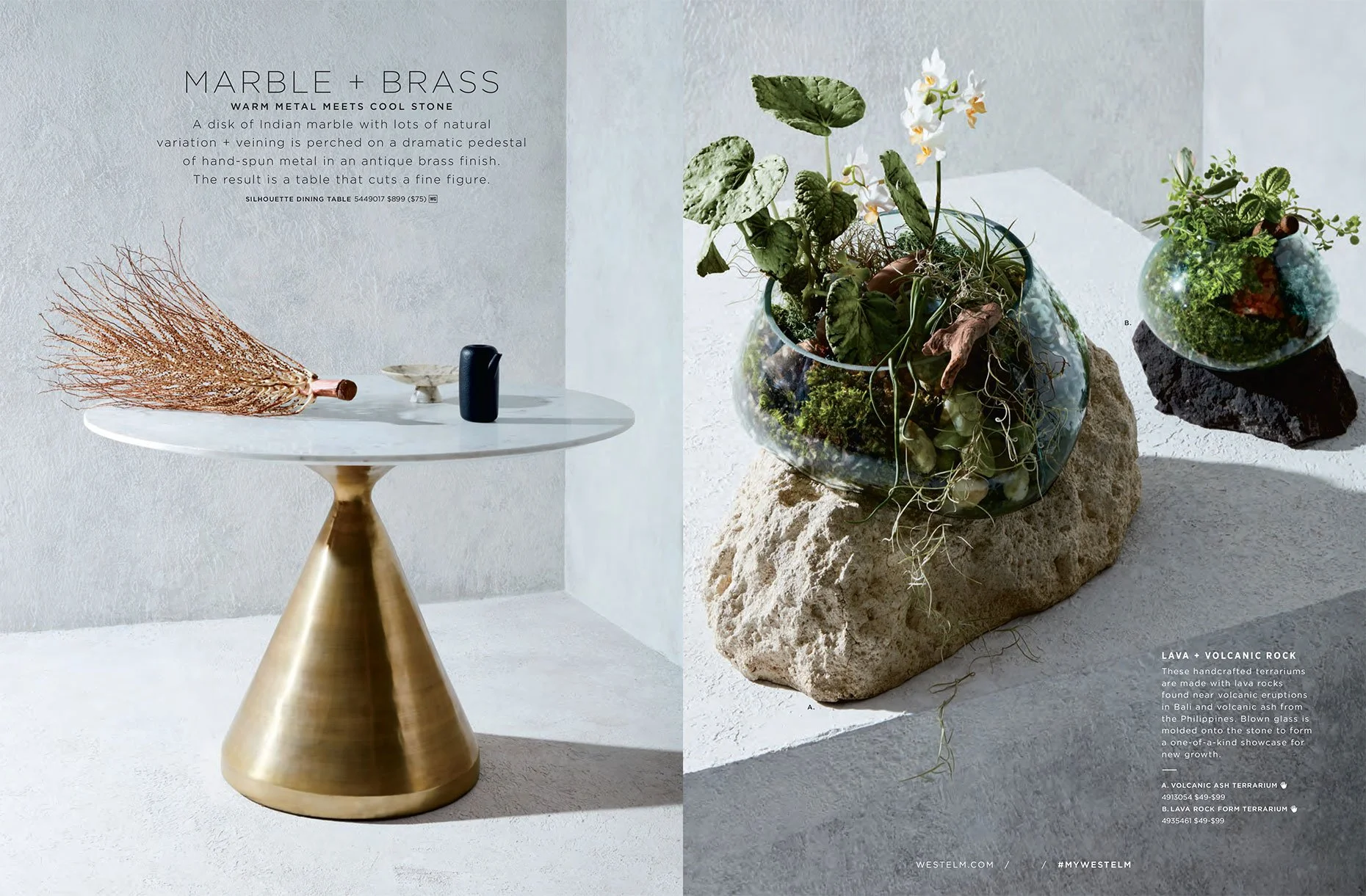 Published cookbook and editorial work by James Ransom, photographer and director
