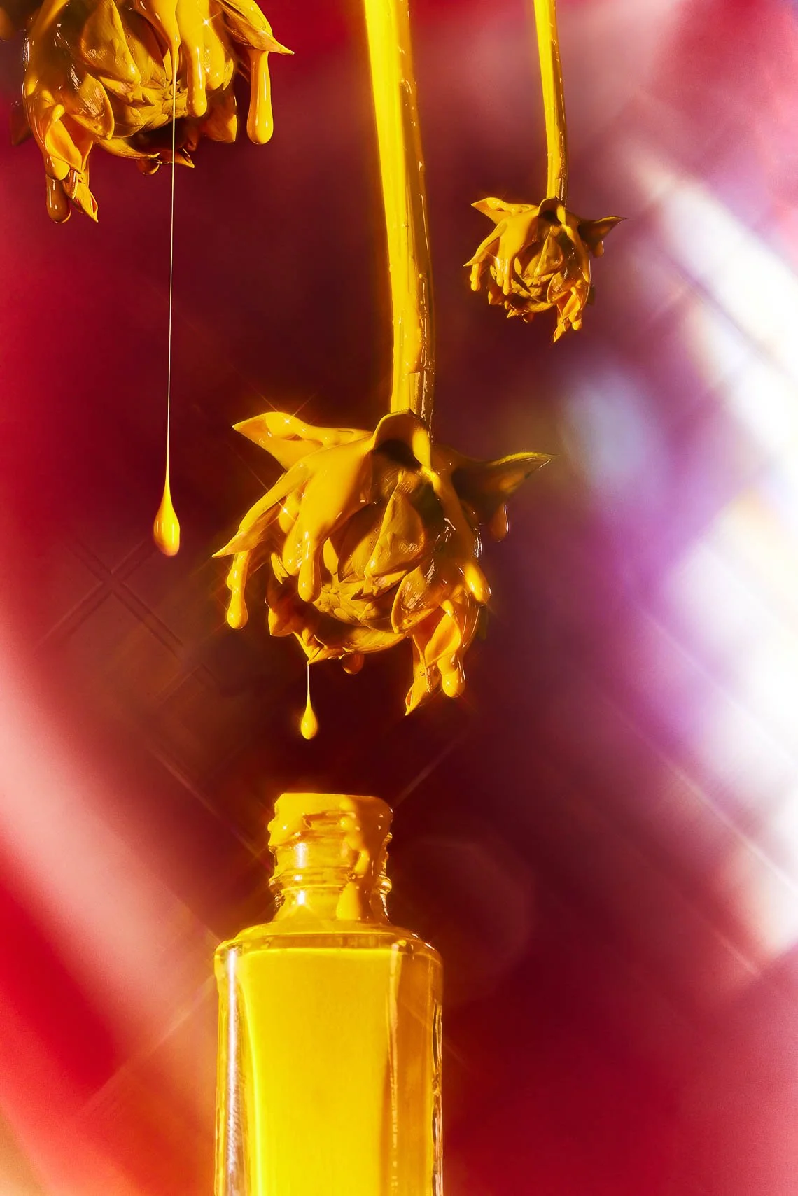 Still life photography by Hilary McMullen, photographer and director