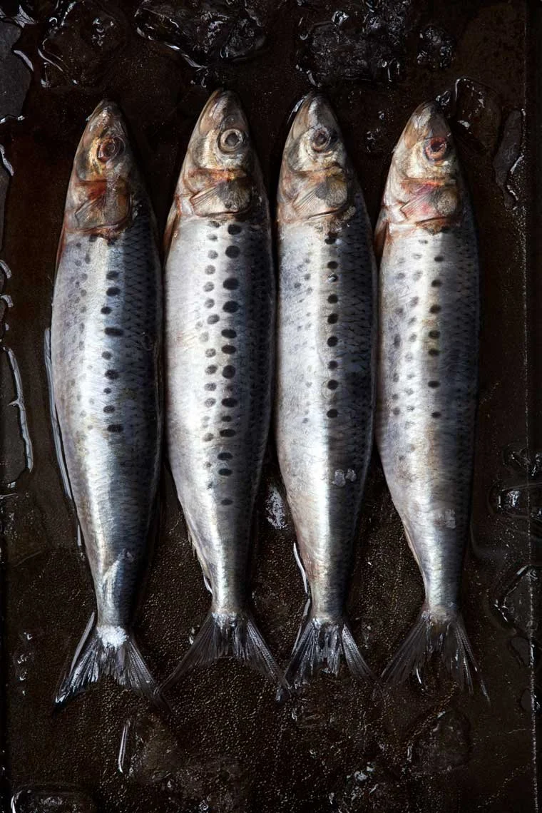 Seafood styling by Julie Hopper, food stylist