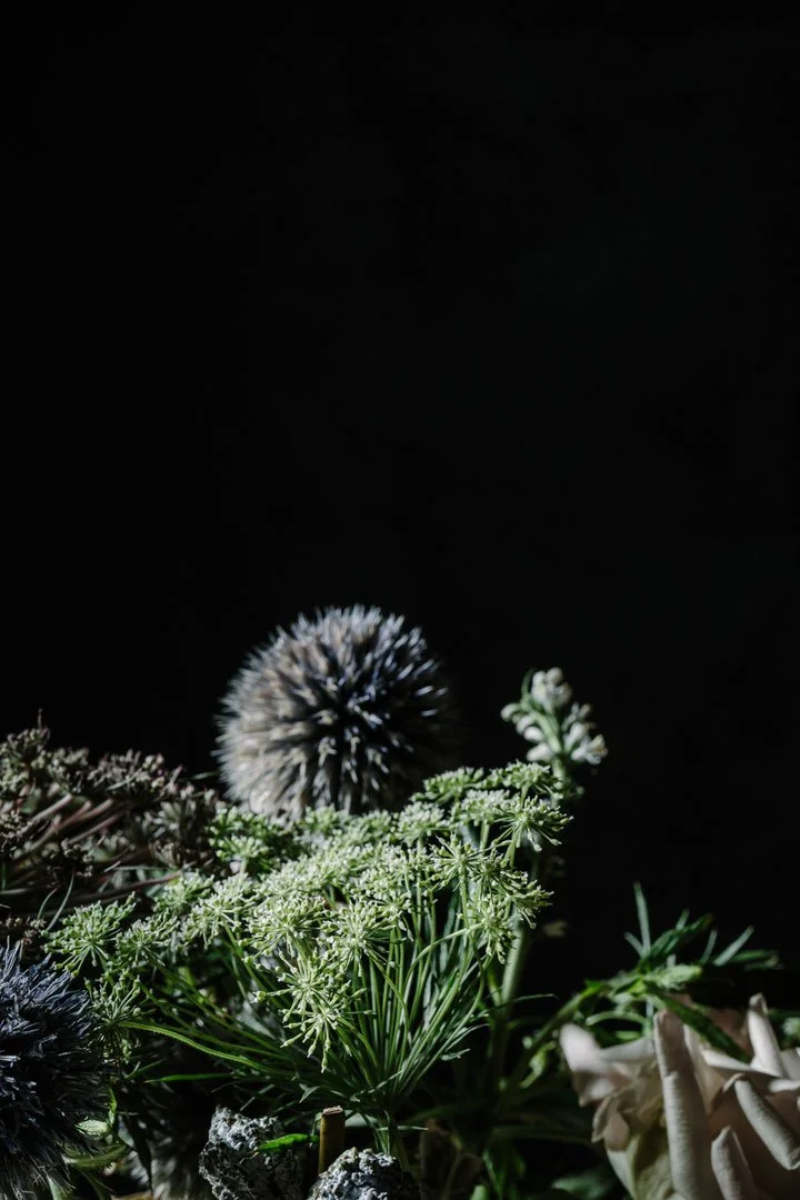Still life photography by Hilary McMullen, photographer and director