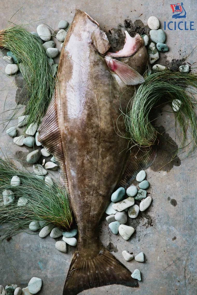 Published cookbook and editorial work by Julie Hopper, food stylist
