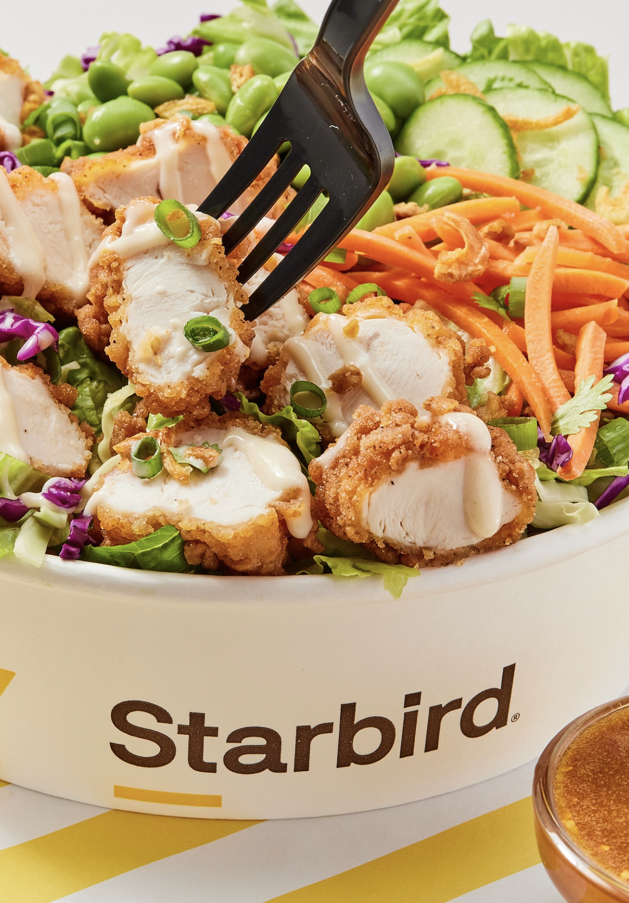 AndreaDAgosto_MarahAbel_FoodPhotography_FriedChicken005.png