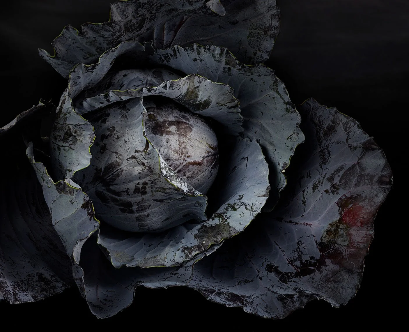 Savory food styling by Marah Abel, food stylist