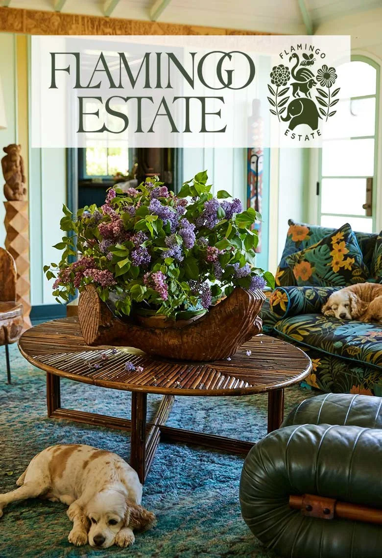 Published cookbook and editorial work by Andrea D'Agosto, photographer and director