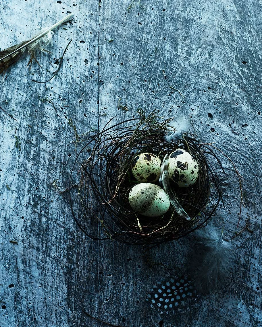 Still life photography by James Ransom, photographer and director