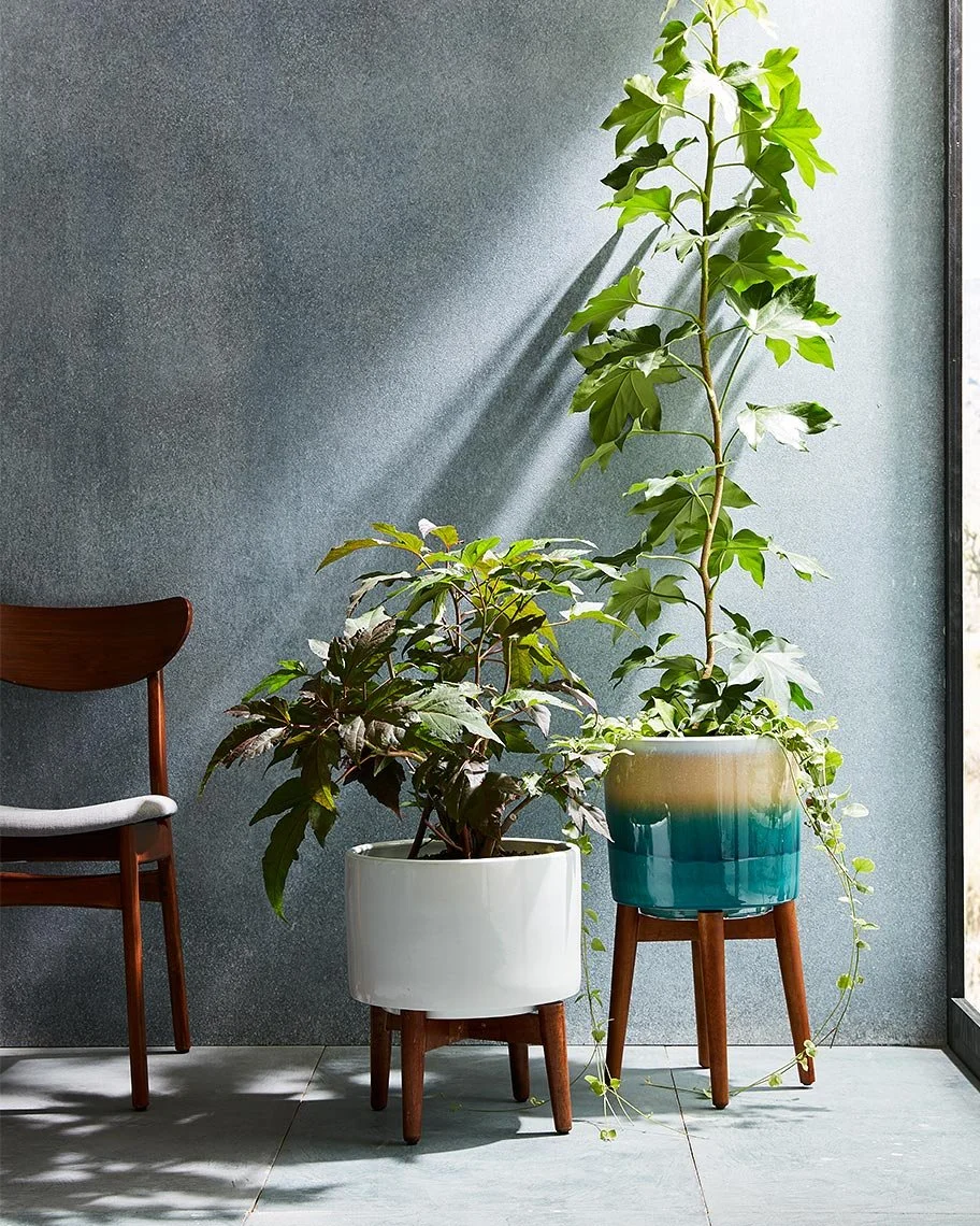 Home and interiors photography by James Ransom, photographer and director