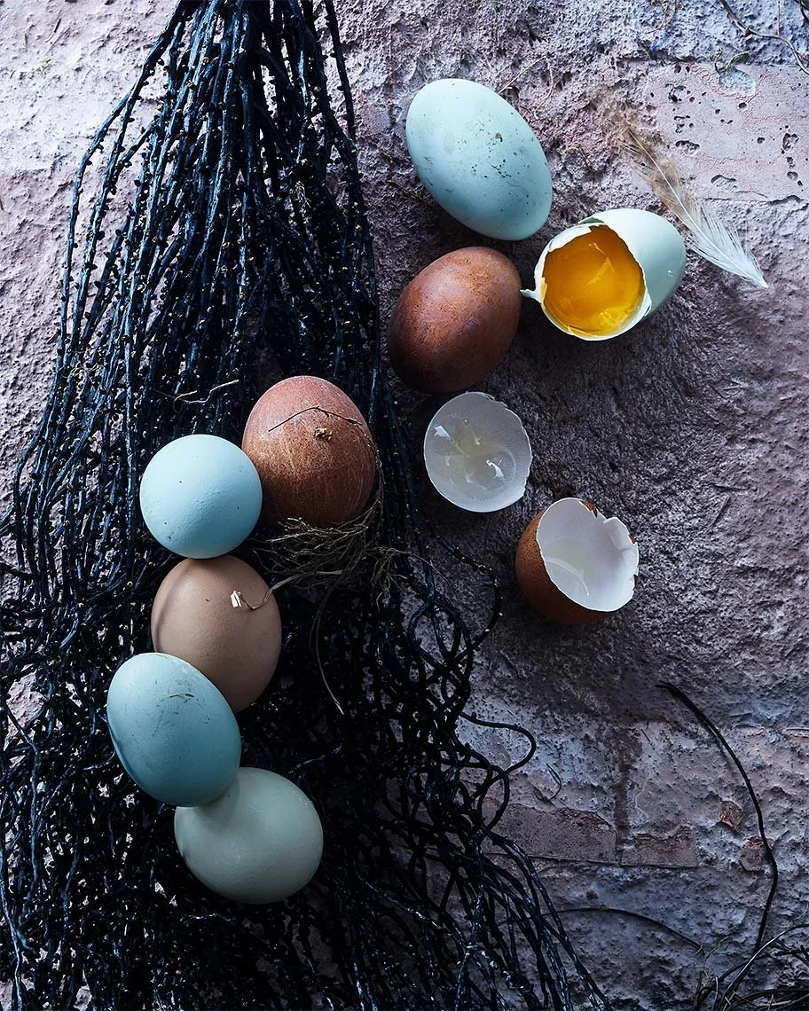 Still life photography by James Ransom, photographer and director