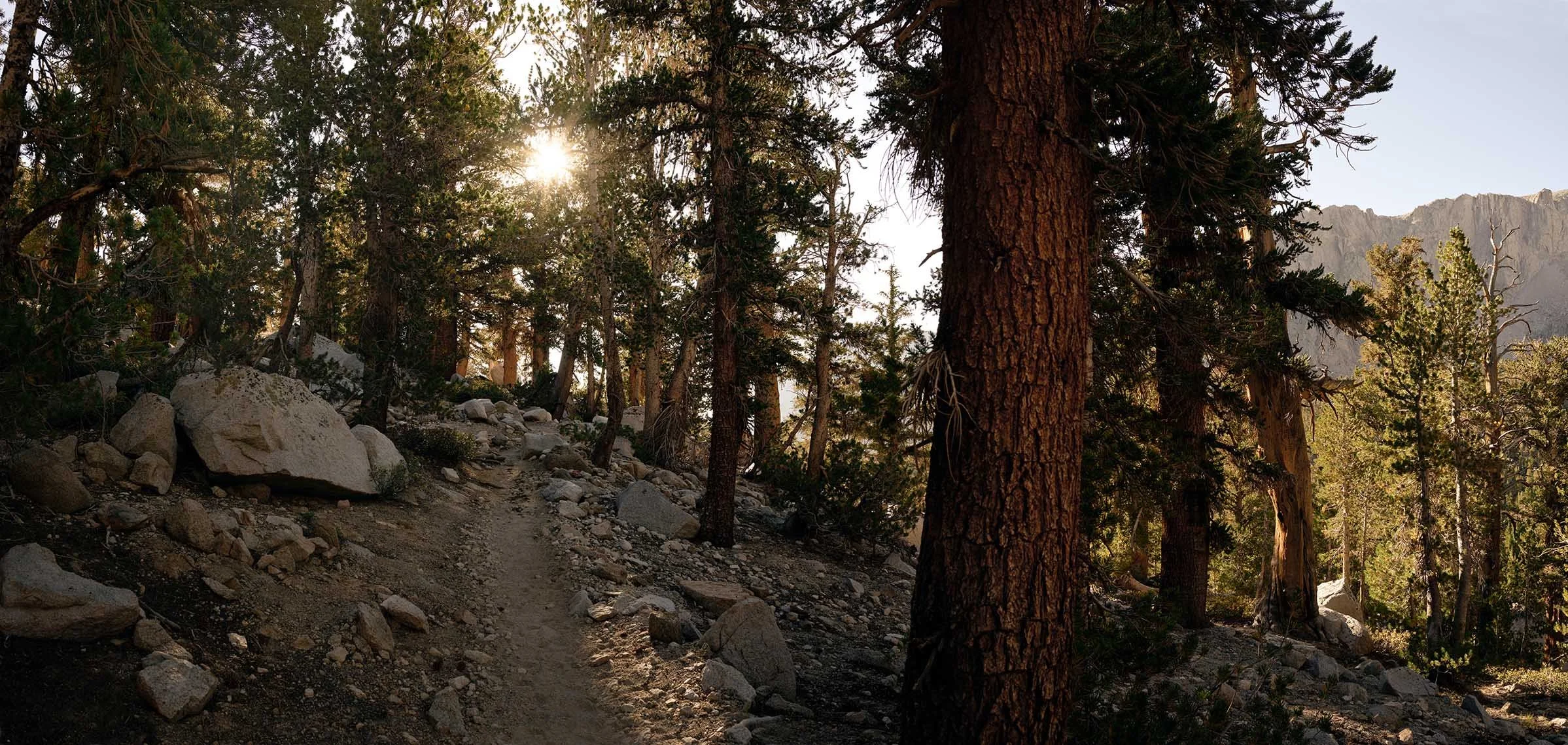 Video and aerial drone footage by David Westphal, photographer, director and drone operator