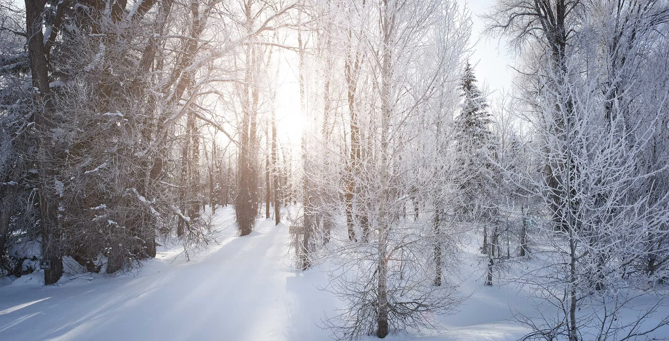 Landscape photography by David Westphal, photographer, director and drone operator
