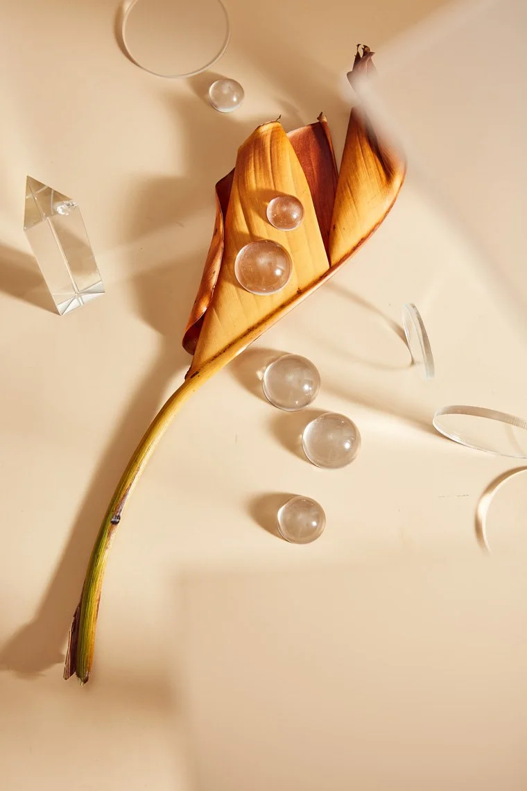 Still life photography by Hilary McMullen, photographer and director