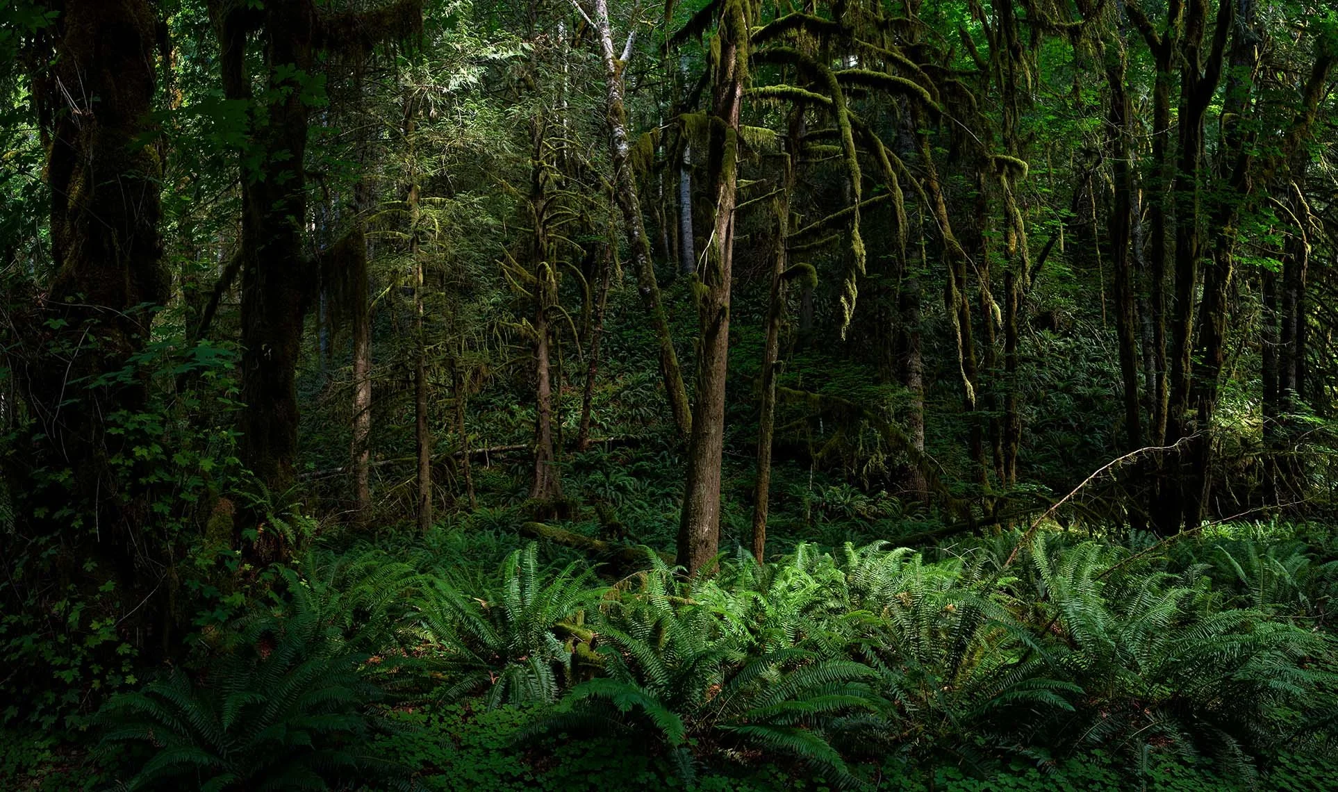 Landscape photography by David Westphal, photographer, director and drone operator