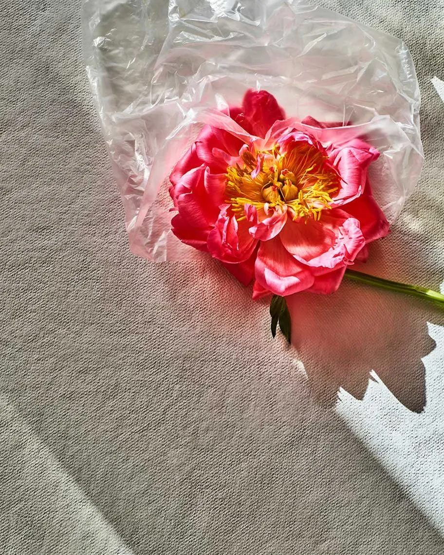 Still life photography by James Ransom, photographer and director