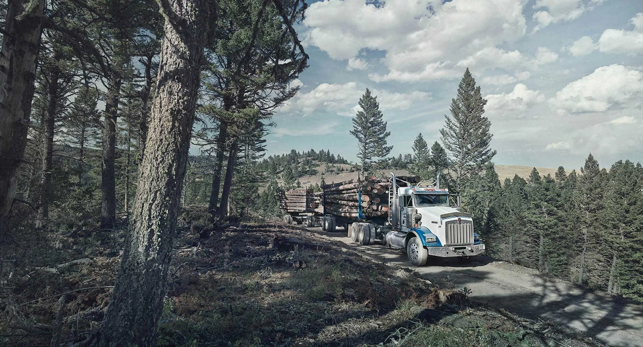 Video and aerial drone footage by David Westphal, photographer, director and drone operator