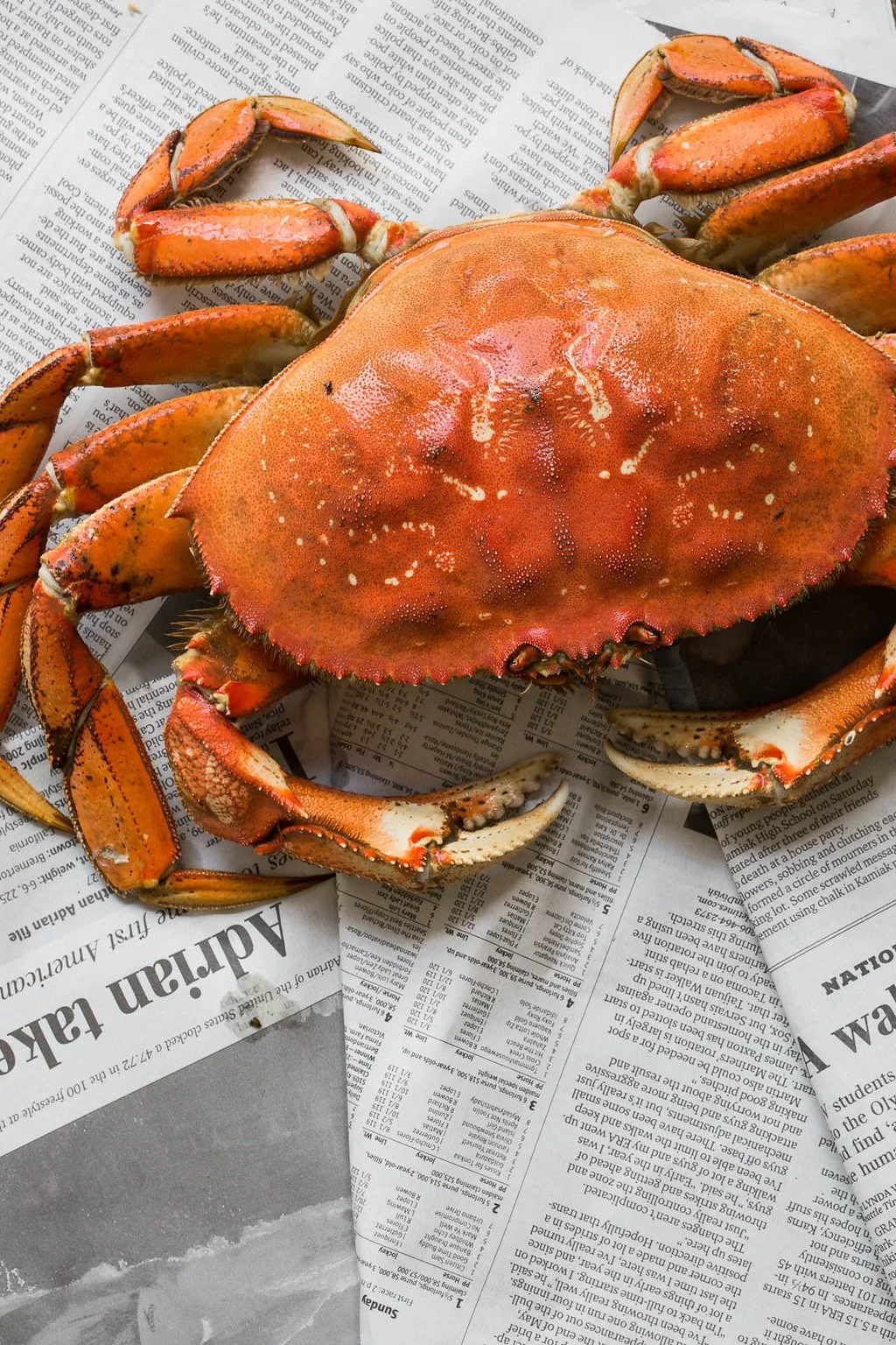 Seafood styling by Julie Hopper, food stylist