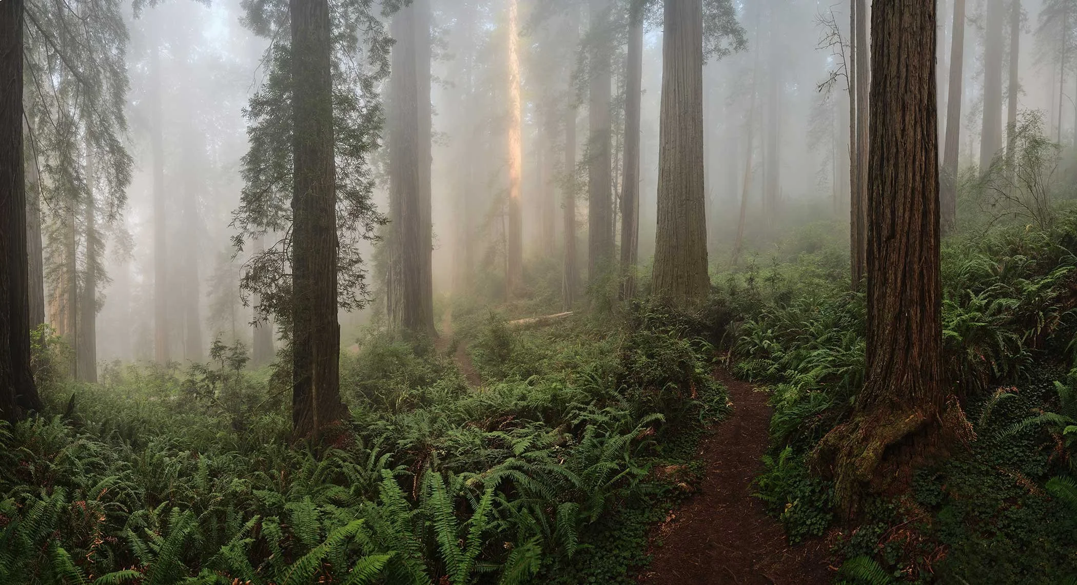 Video and aerial drone footage by David Westphal, photographer, director and drone operator