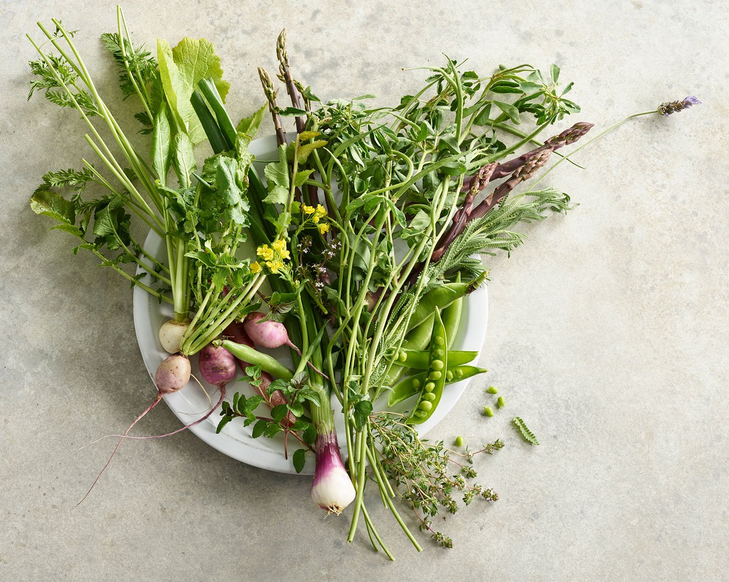 Savory food styling by Marah Abel, food stylist