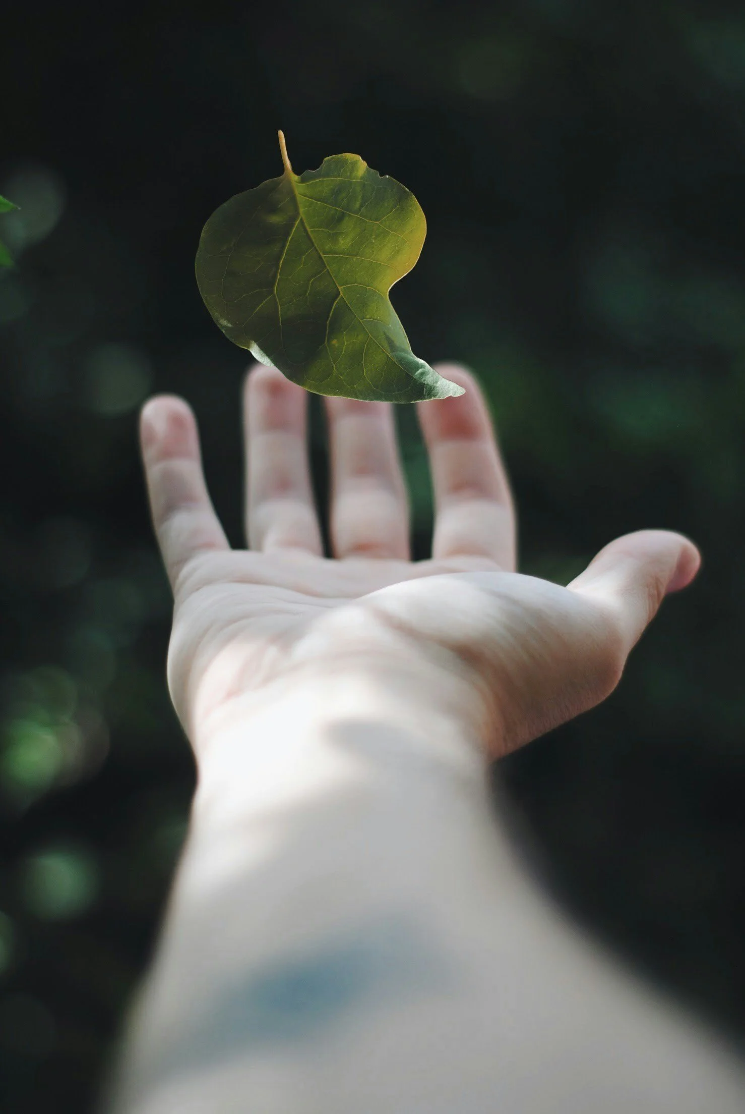A person's hand with fair skin holding a single green leaf against a dark, blurred background.