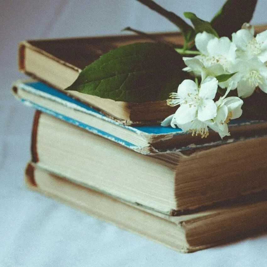 Our Favorite Yoga Books