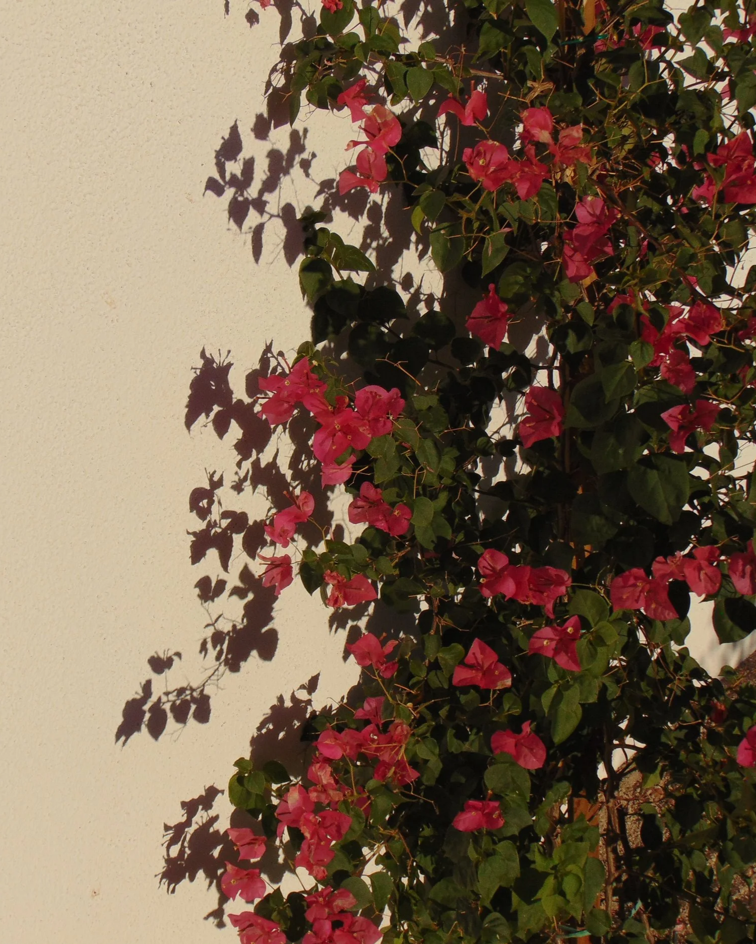DSC01150.png