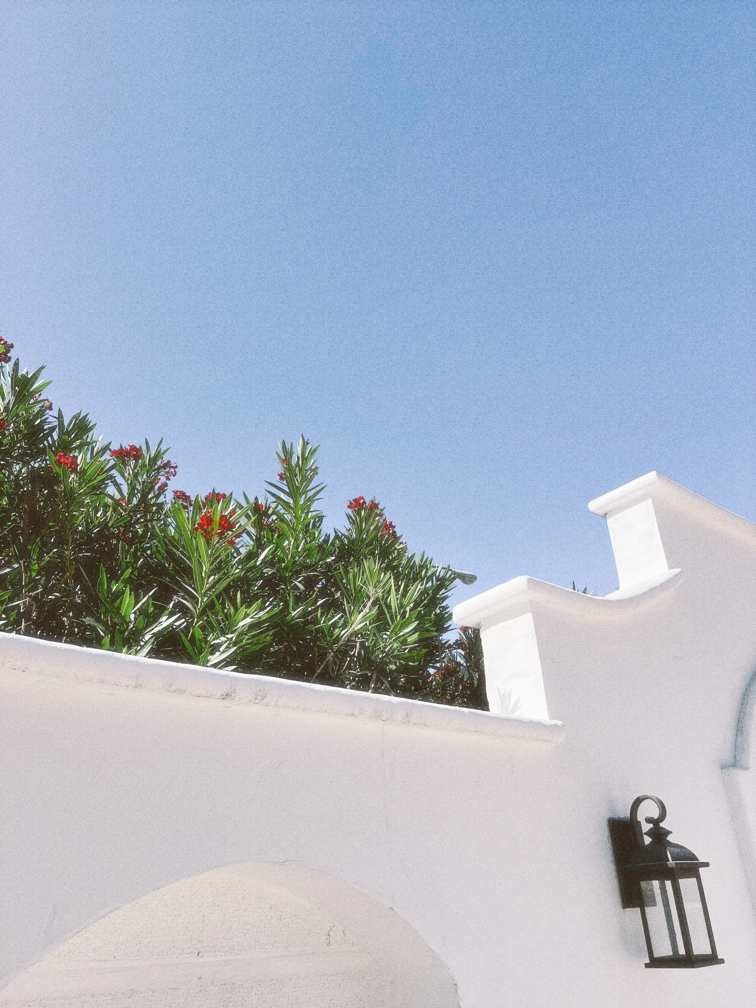 D637DE56-5F81-48C8-A931-18C2AA0D1070-labbet-app.jpg