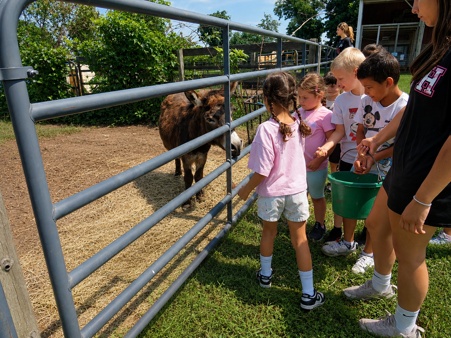 A group of children feed a small zebra through a metal fence at a farm or petting zoo, with adults supervising nearby.